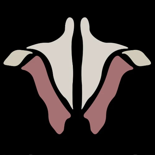 Institute of Human Anatomy